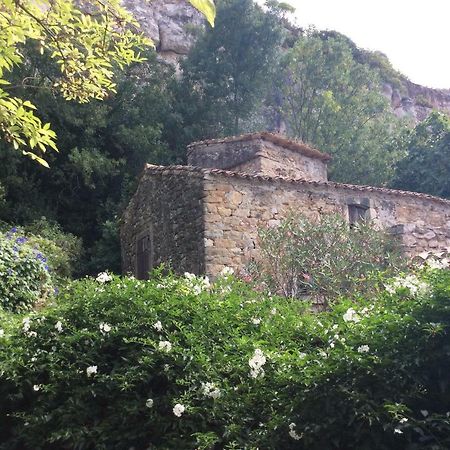 Maison Ancienne Minervois La Caunette Extérieur photo