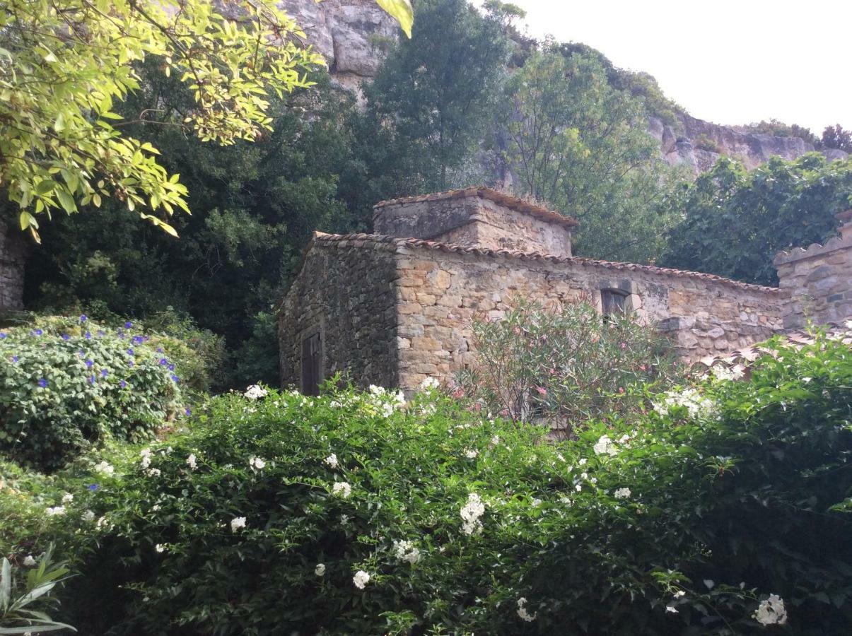 Maison Ancienne Minervois La Caunette Extérieur photo