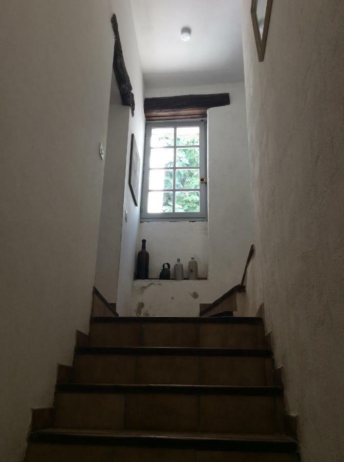 Maison Ancienne Minervois La Caunette Extérieur photo