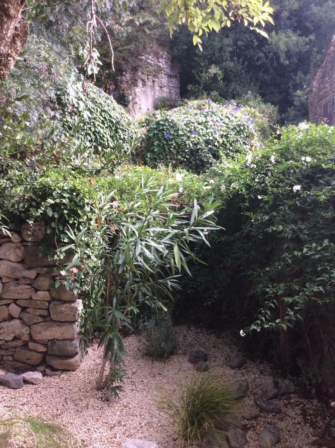 Maison Ancienne Minervois La Caunette Extérieur photo